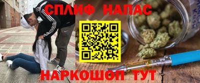 шишки Будённовск
