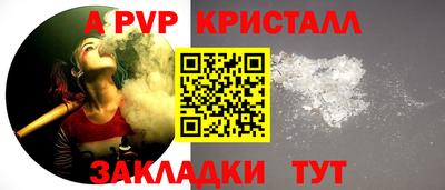 шишки Будённовск