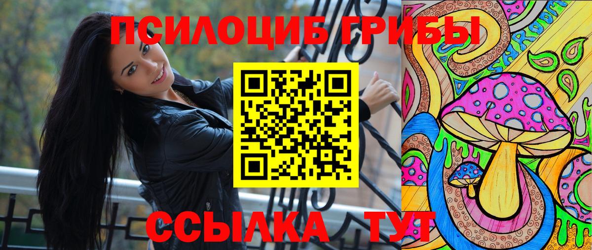 Снежинск  Псилоцибиновые грибы Cubensis  купить   Вход с VPN  Псилоцибиновые грибы Psilocybe 