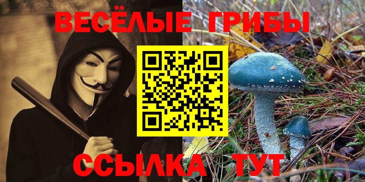 Псилоцибиновые грибы MAGIC MUSHROOMS Снежинск